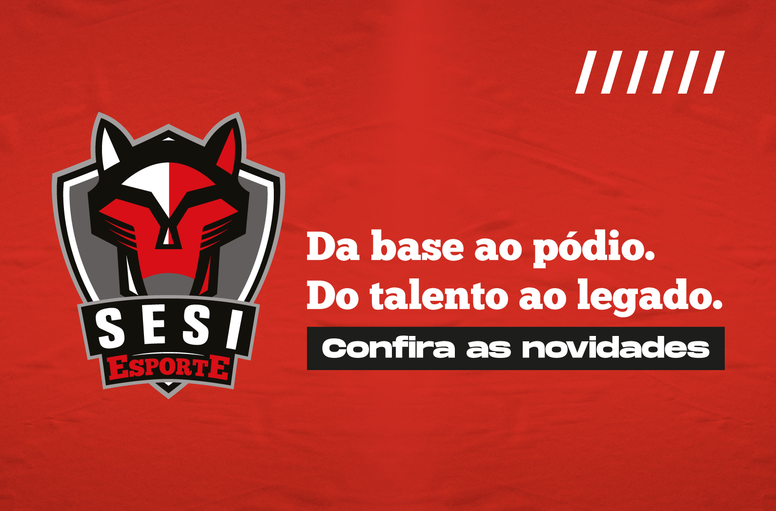 Imagem de divulgação do Programa SESI Esporte